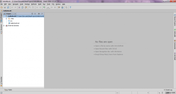 IntelliJ IDEA Community Edition